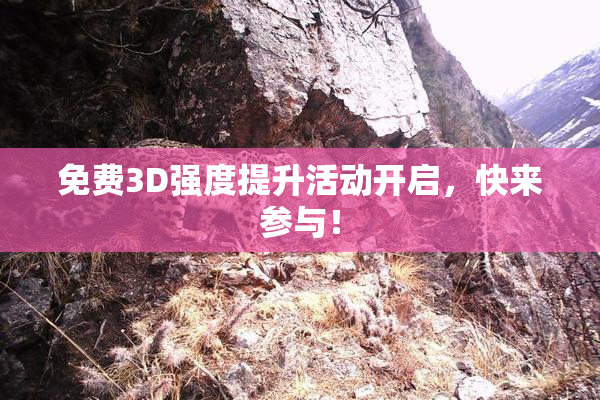 免费3D强度提升活动开启，快来参与！