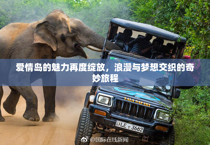 爱情岛的魅力再度绽放，浪漫与梦想交织的奇妙旅程
