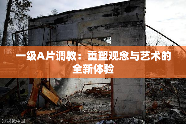 一级A片调教：重塑观念与艺术的全新体验