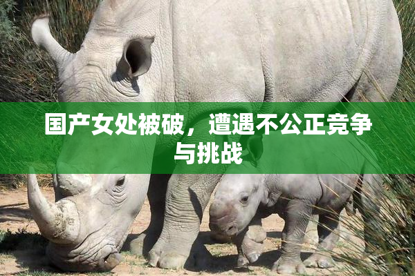 国产女处被破，遭遇不公正竞争与挑战