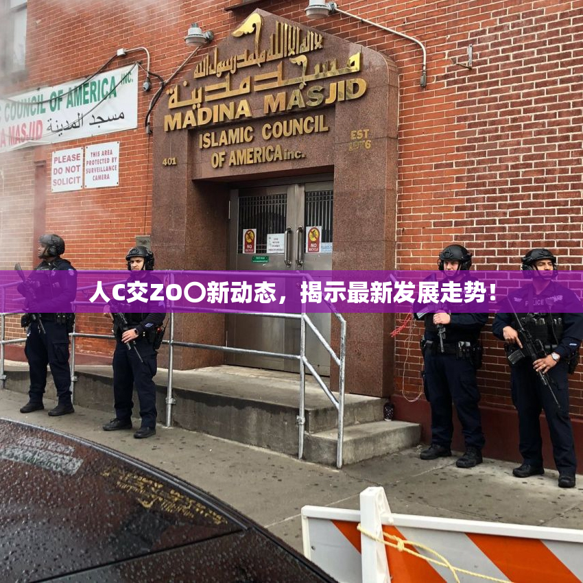 人C交ZO〇新动态，揭示最新发展走势！