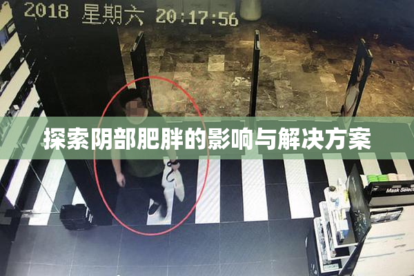探索阴部肥胖的影响与解决方案