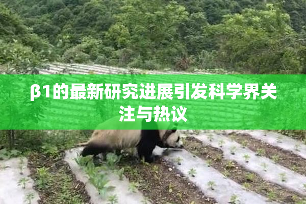 β1的最新研究进展引发科学界关注与热议