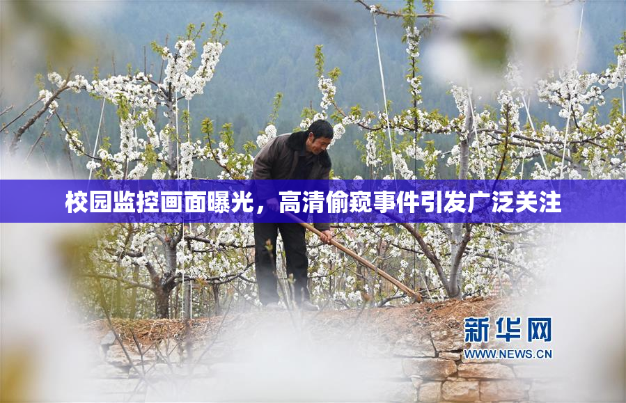 校园监控画面曝光，高清偷窥事件引发广泛关注