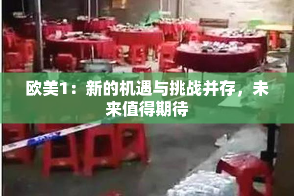 欧美1：新的机遇与挑战并存，未来值得期待