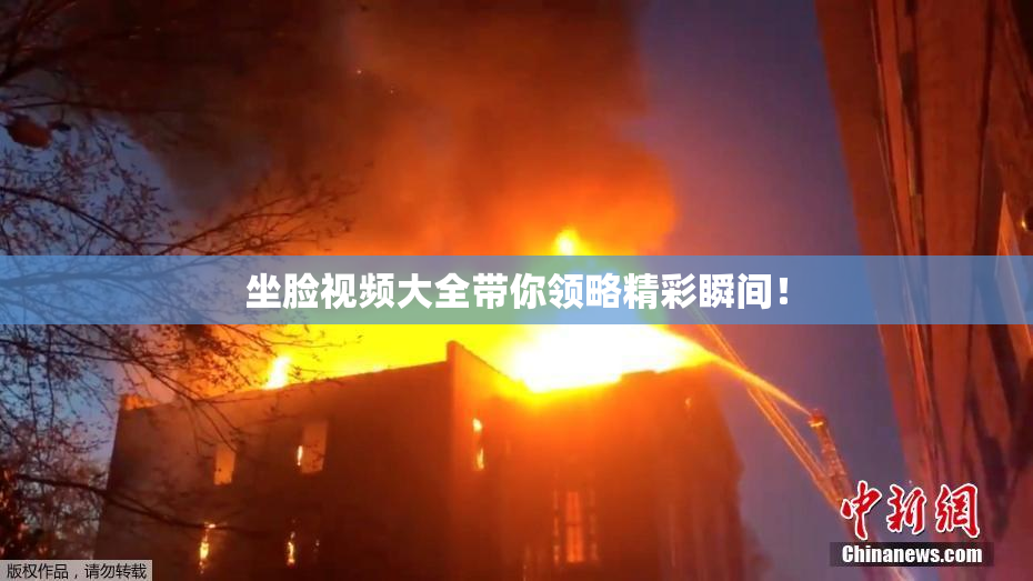 坐脸视频大全带你领略精彩瞬间！