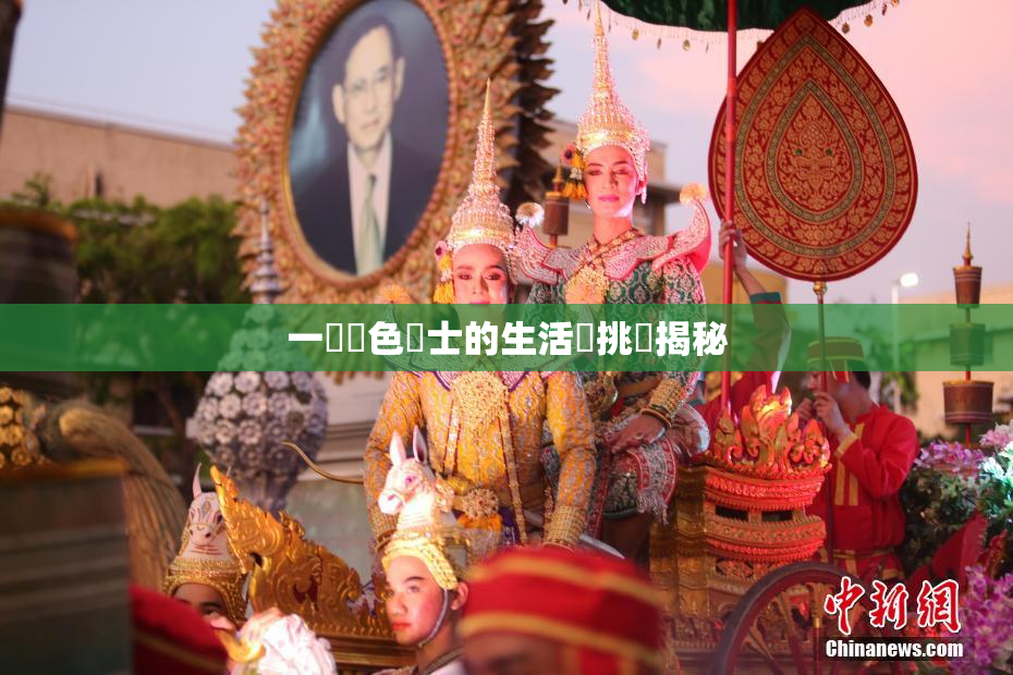 一級黃色護士的生活與挑戰揭秘