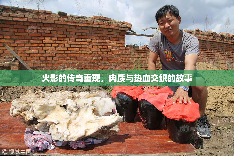 火影的传奇重现，肉质与热血交织的故事