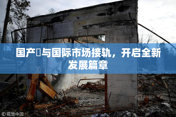 国产梱与国际市场接轨，开启全新发展篇章