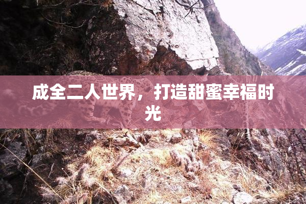 成全二人世界，打造甜蜜幸福时光