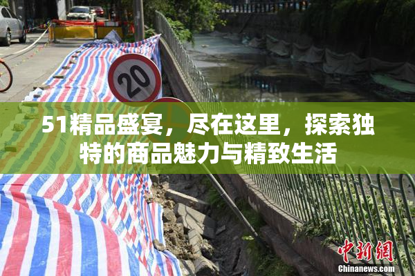 51精品盛宴，尽在这里，探索独特的商品魅力与精致生活