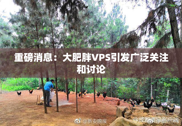 重磅消息：大肥胖VPS引发广泛关注和讨论