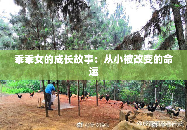 乖乖女的成长故事：从小被改变的命运