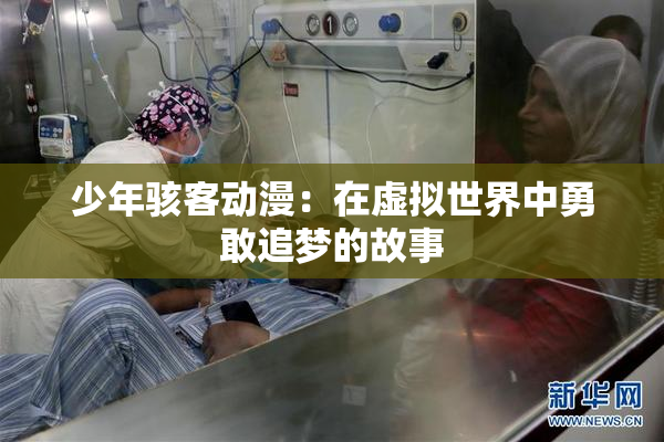 少年骇客动漫：在虚拟世界中勇敢追梦的故事