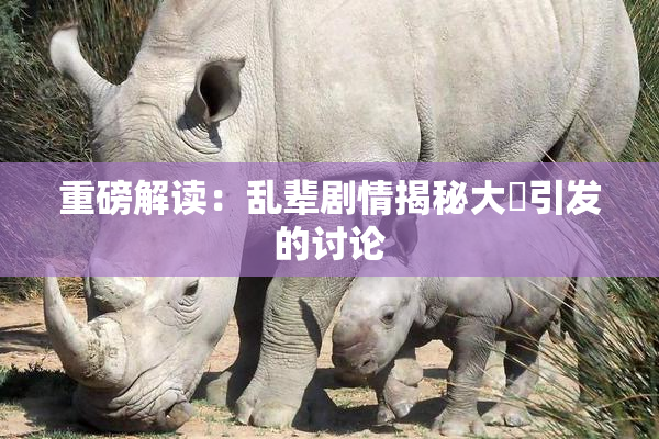 重磅解读：乱辈剧情揭秘大雞引发的讨论