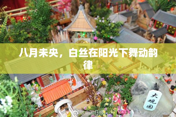 八月未央，白丝在阳光下舞动韵律