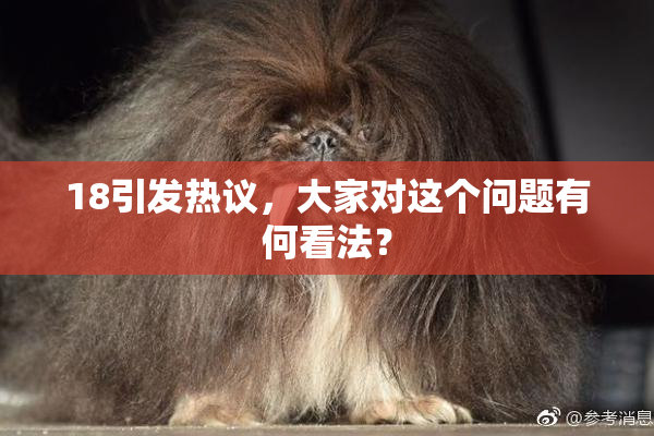 18引发热议，大家对这个问题有何看法？