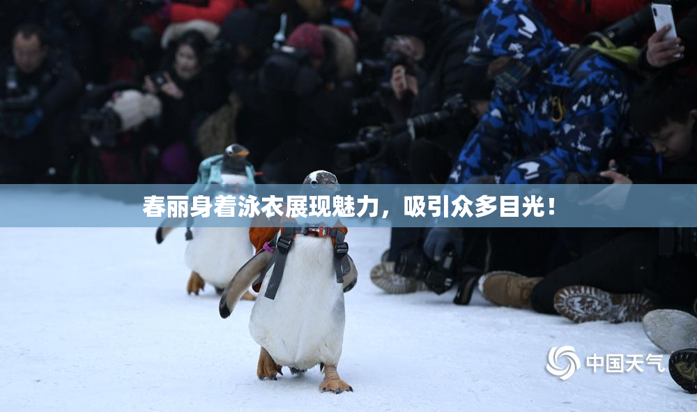 春丽身着泳衣展现魅力，吸引众多目光！