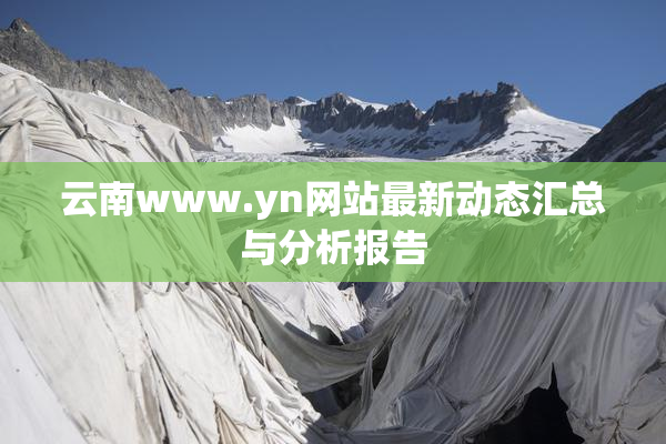 云南www.yn网站最新动态汇总与分析报告