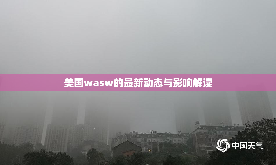美国wasw的最新动态与影响解读
