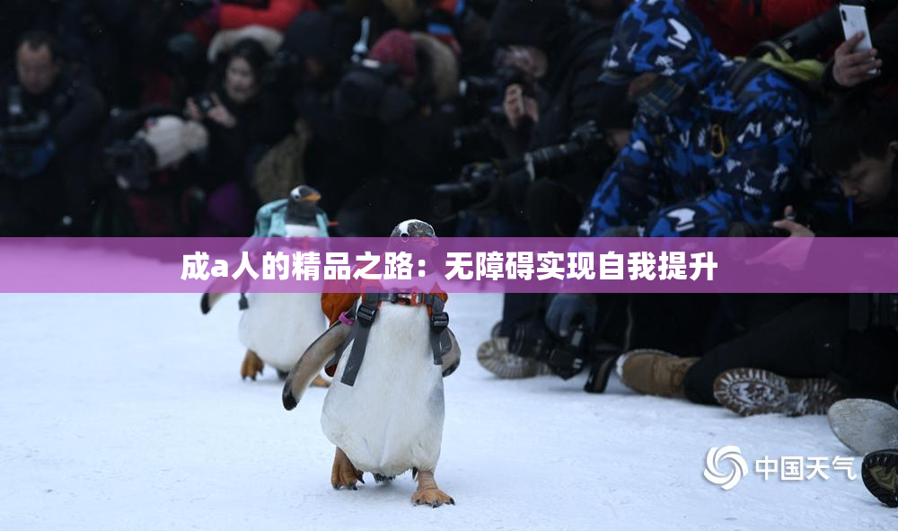 成a人的精品之路：无障碍实现自我提升