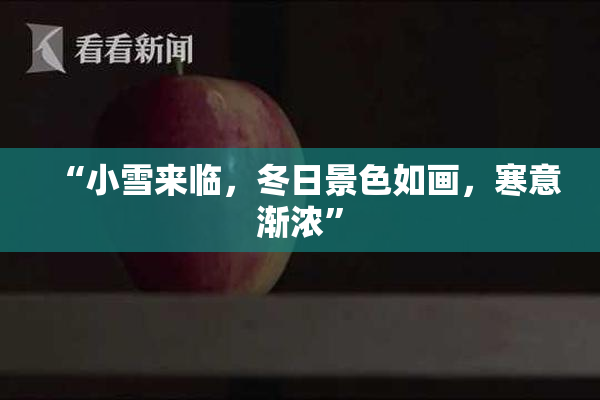 “小雪来临，冬日景色如画，寒意渐浓”
