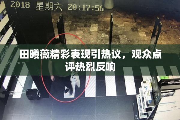 田曦薇精彩表现引热议，观众点评热烈反响