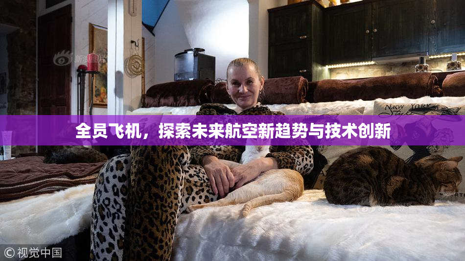 全员飞机，探索未来航空新趋势与技术创新