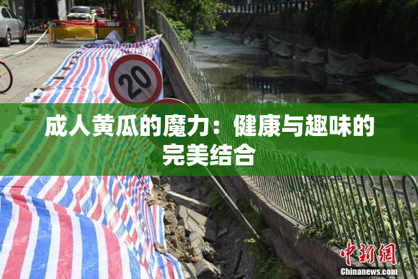 成人黄瓜的魔力：健康与趣味的完美结合