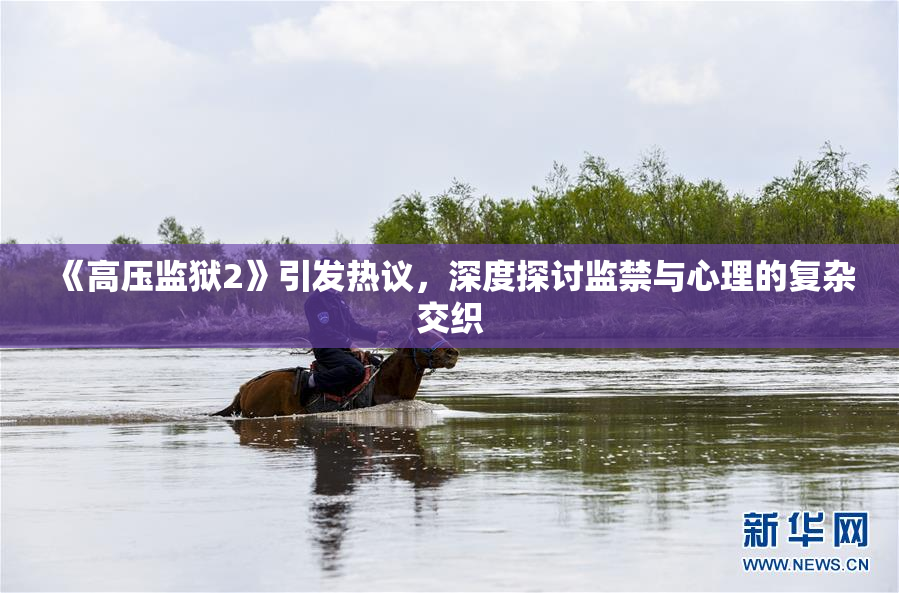 《高压监狱2》引发热议，深度探讨监禁与心理的复杂交织