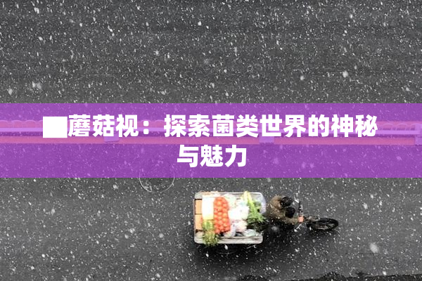 ▇蘑菇视：探索菌类世界的神秘与魅力
