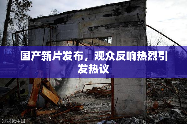 国产新片发布，观众反响热烈引发热议