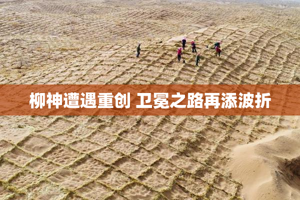 柳神遭遇重创 卫冕之路再添波折