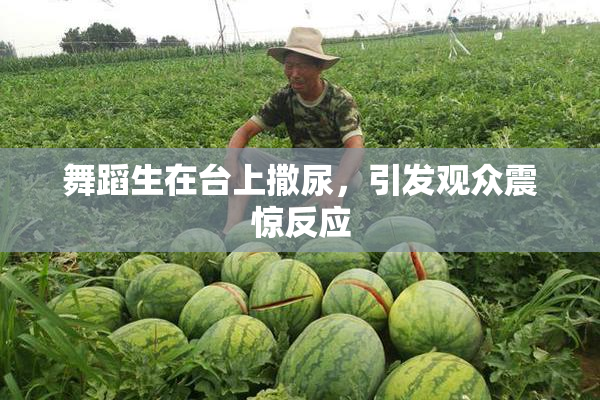 舞蹈生在台上撒尿，引发观众震惊反应
