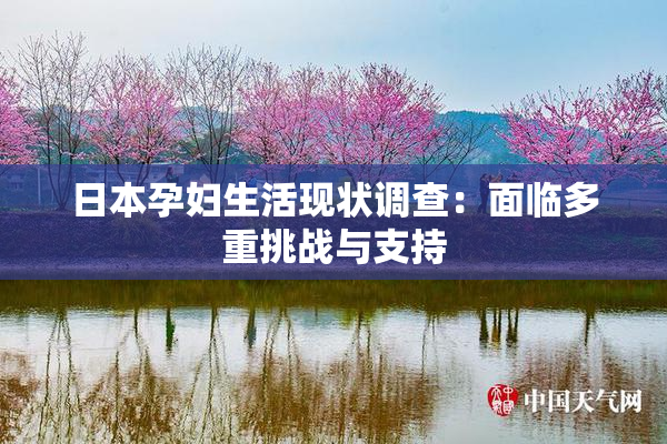 日本孕妇生活现状调查：面临多重挑战与支持