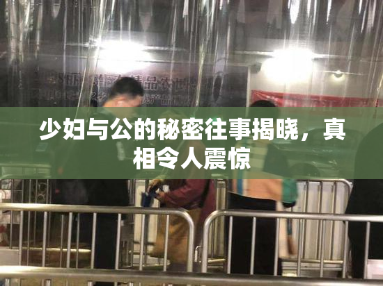 少妇与公的秘密往事揭晓，真相令人震惊