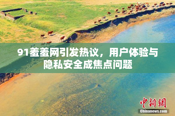 91羞羞网引发热议，用户体验与隐私安全成焦点问题