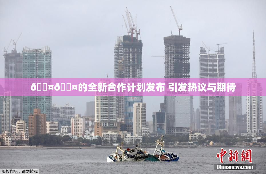 🐤🐤的全新合作计划发布 引发热议与期待