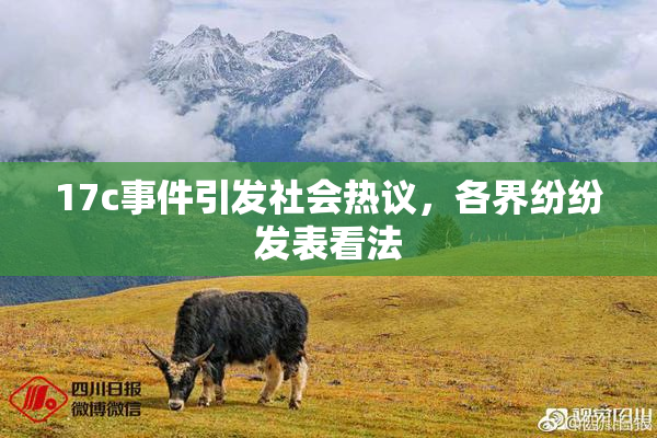 17c事件引发社会热议，各界纷纷发表看法