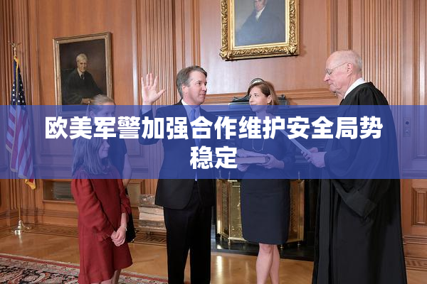 欧美军警加强合作维护安全局势稳定