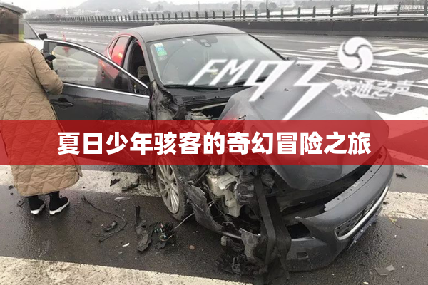 夏日少年骇客的奇幻冒险之旅