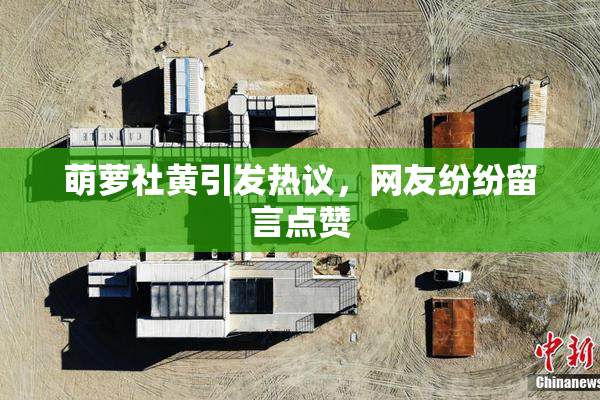 萌萝社黄引发热议，网友纷纷留言点赞
