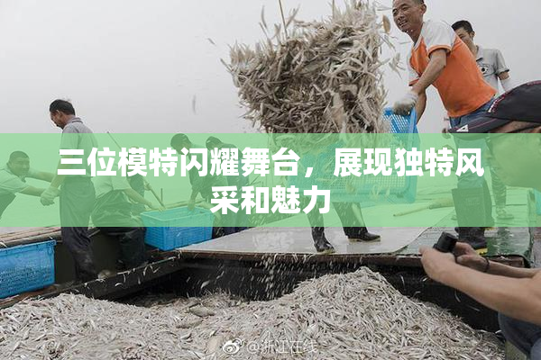 三位模特闪耀舞台，展现独特风采和魅力