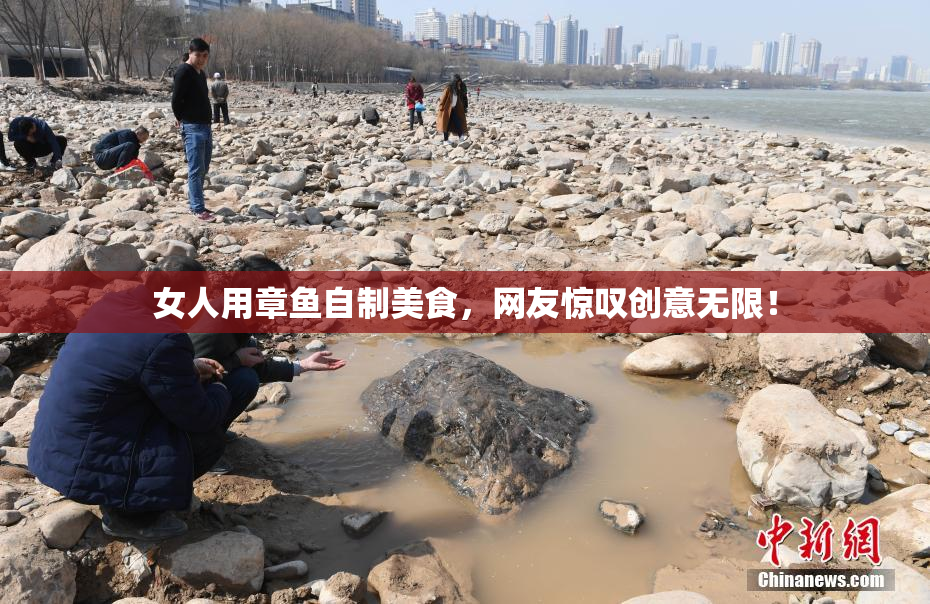 女人用章鱼自制美食，网友惊叹创意无限！