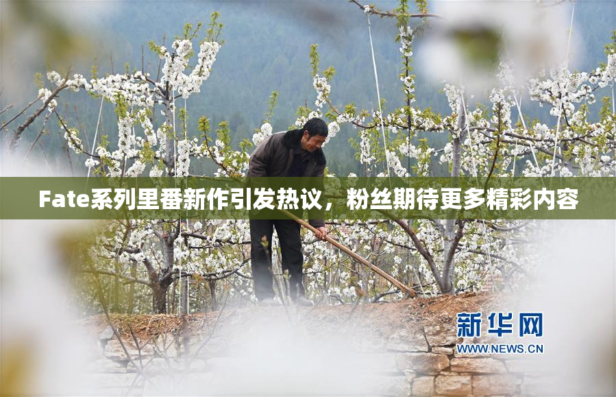 Fate系列里番新作引发热议，粉丝期待更多精彩内容