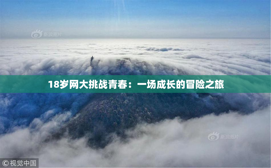 18岁网大挑战青春：一场成长的冒险之旅