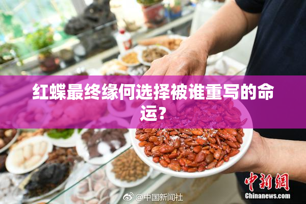 红蝶最终缘何选择被谁重写的命运？