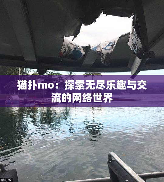 猫扑mo：探索无尽乐趣与交流的网络世界