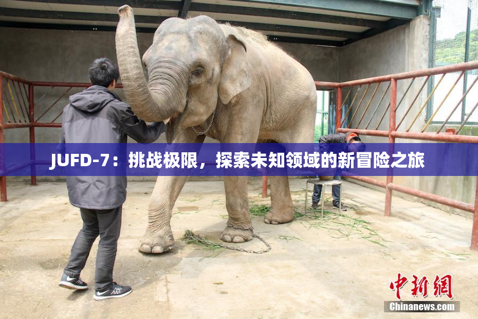 JUFD-7：挑战极限，探索未知领域的新冒险之旅