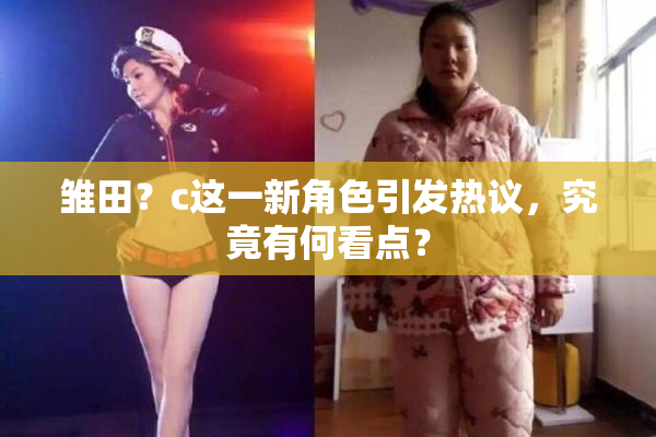 雏田？c这一新角色引发热议，究竟有何看点？